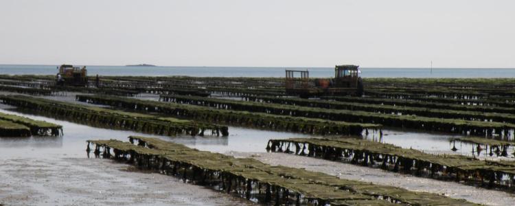 Photo © DCheslett | Marine Institute